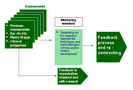 Management Mentoring Process Diagram Goes Here.